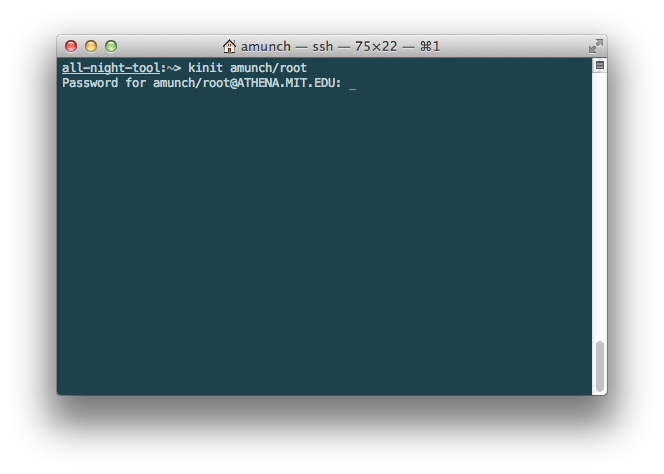 Terminal with prompt for password.